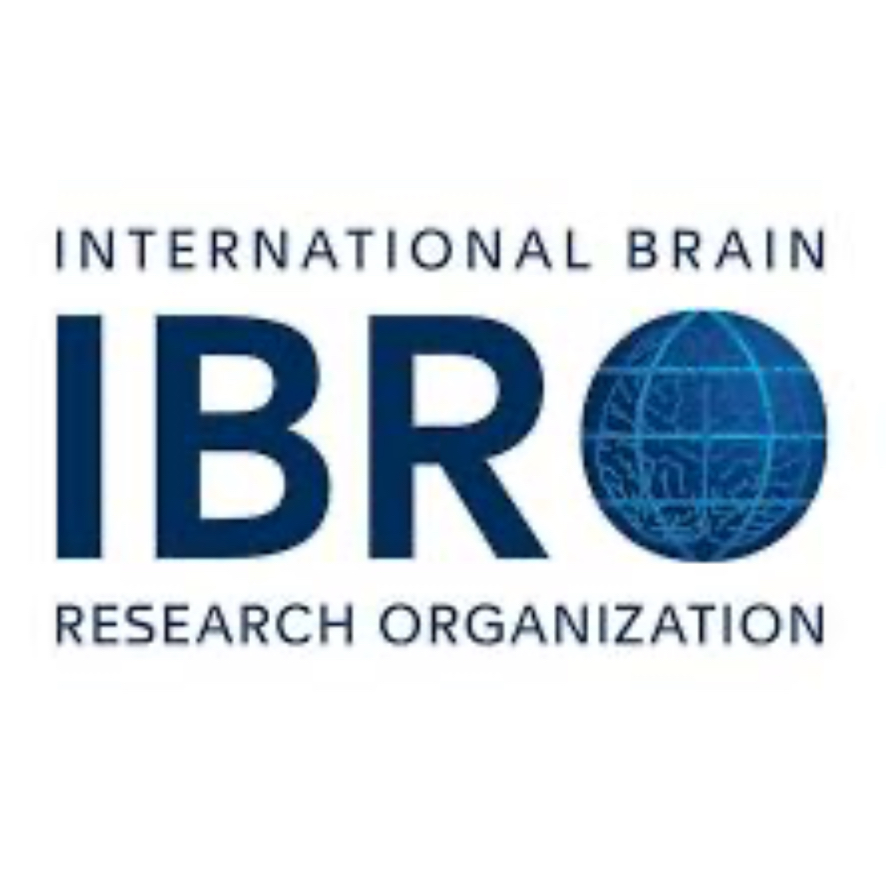 IBRO logo